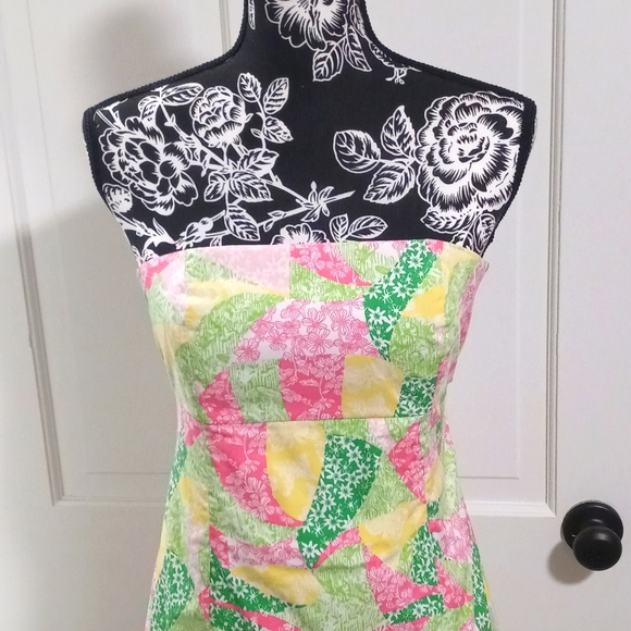 🆕 💞Lilly Pulitzer💞 - Franco 50s Poplin Dress - Picture 5 of 15
